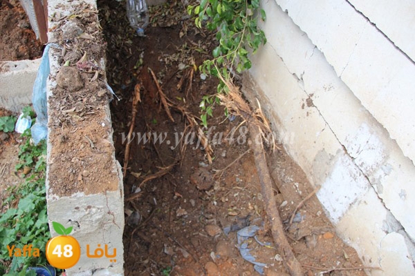 modahama lud 0216 (23).JPG